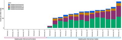 Sexing of cattle embryos using RNA-sequencing data or polymerase chain reaction based on a complete sequence of cattle chromosome Y